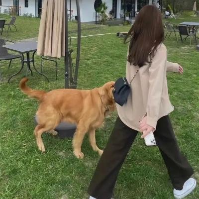 杜拉拉升职记